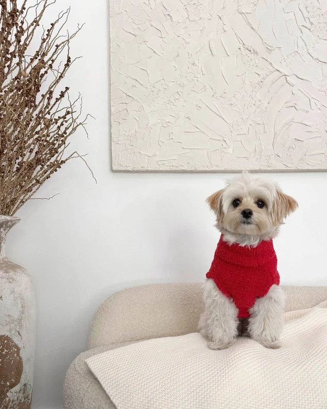 Weekend Specials to Relish Red Fuzzy Pet Sweater