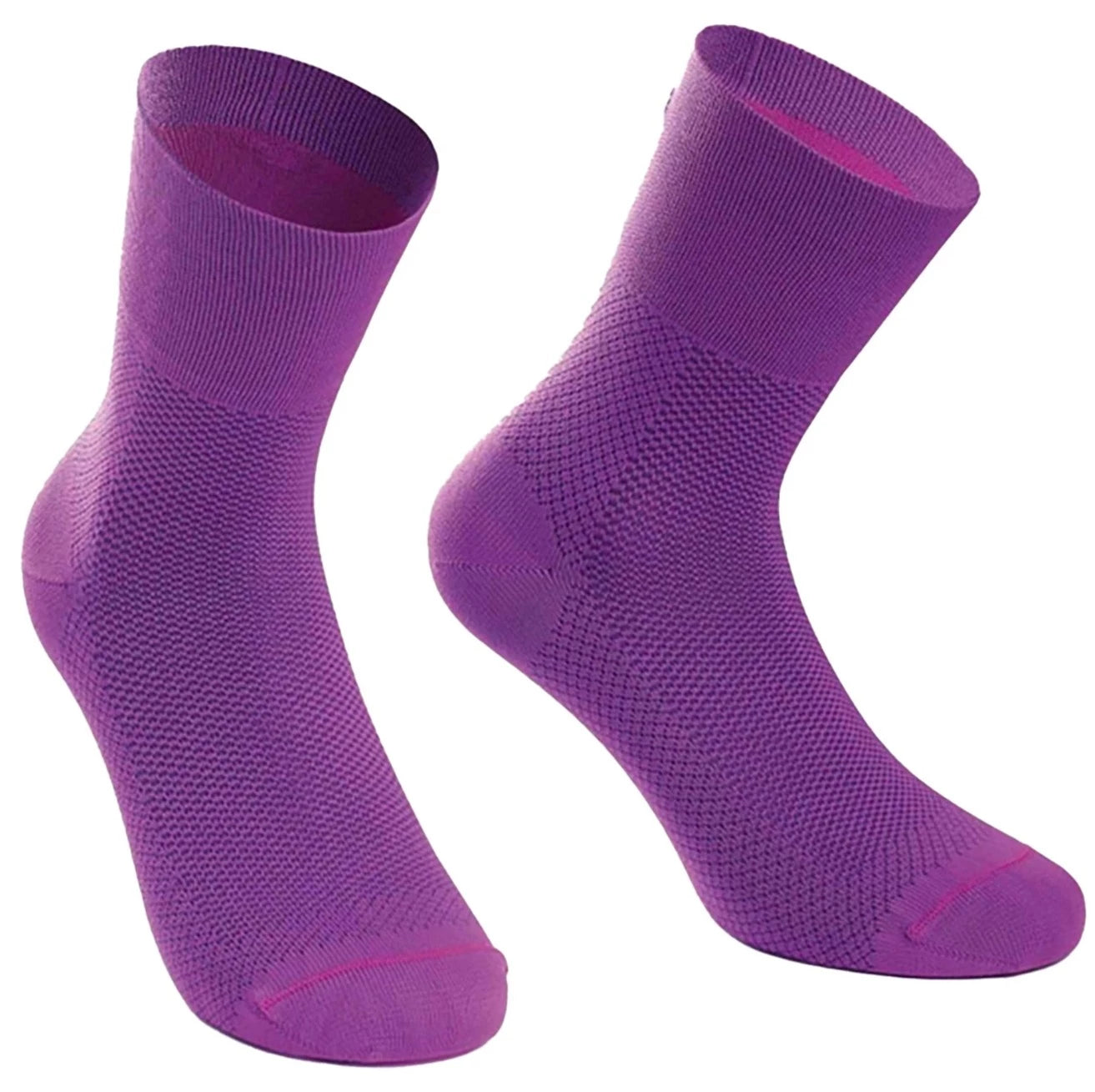 Venus Violet
