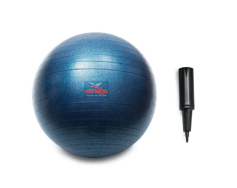 Home Gym Workout Stability ball  65 cm Yoga ball Anti-burst With Pump Reneg8